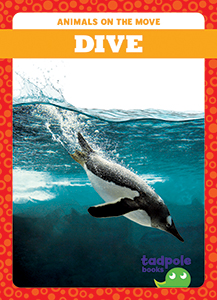 Cover Art for Dive