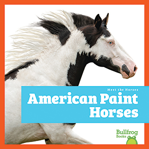 Cover Art for American Paint Horses