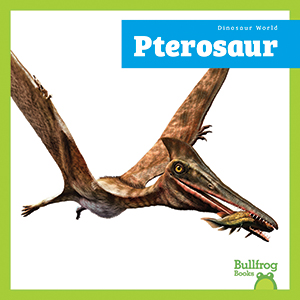 Cover Art for Pterosaur