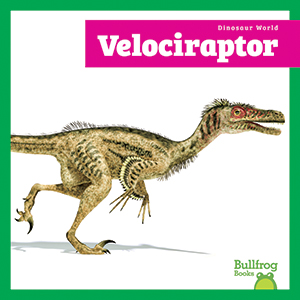 Cover Art for Velociraptor