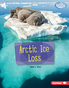 Cover Art for Arctic Ice Loss
