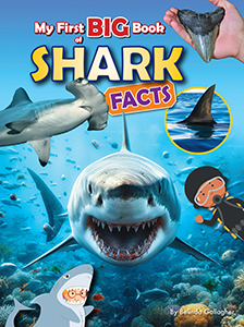 Cover Art for My First Big Book of Shark Facts