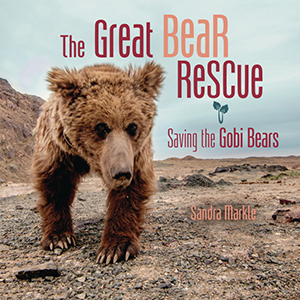 Cover Art for The Great Bear Rescue: Saving the Gobi Bears