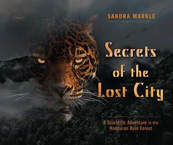 Cover Art for Secrets of the Lost City: A Scientific Adventure in the Honduran Rainforest