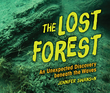 Cover Art for The Lost Forest: An Unexpected Discovery Beneath the Waves