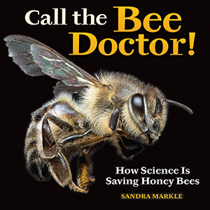 Cover Art for Call the Bee Doctor!: How Science Is Saving Honey Bees