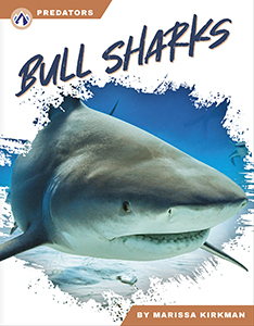 Cover Art for Bull Sharks