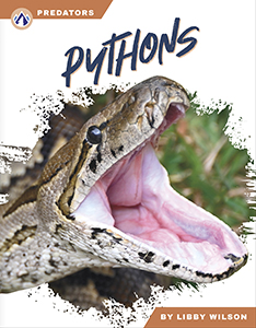 Cover Art for Pythons