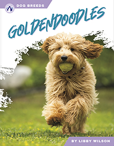 Cover Art for Goldendoodles