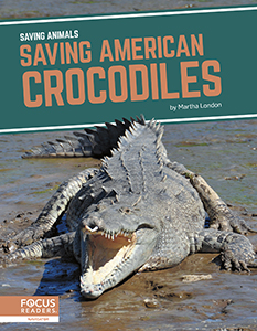 Cover Art for Saving American Crocodiles