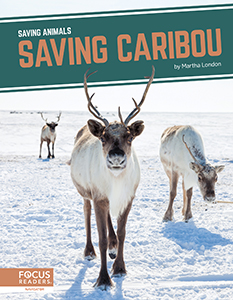 Cover Art for Saving Caribou