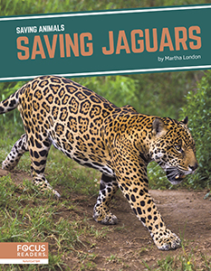 Cover Art for Saving Jaguars