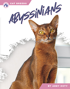 Cover Art for Abyssinians