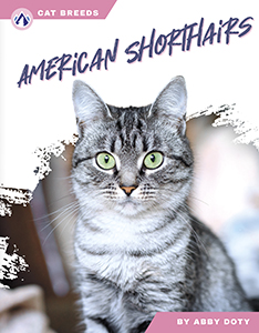 Cover Art for American Shorthairs