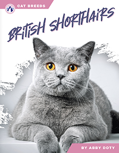 Cover Art for British Shorthairs