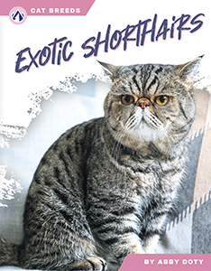 Cover Art for Exotic Shorthairs