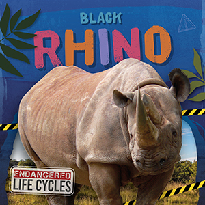 Cover Art for Black Rhino