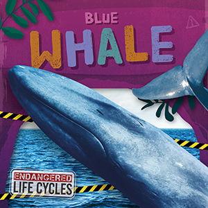 Cover Art for Blue Whale
