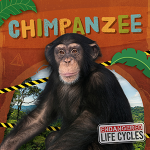 Cover Art for Chimpanzee