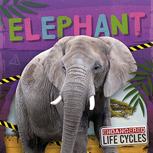 Cover Art for Elephant