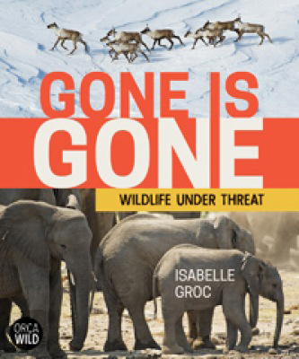 Cover Art for Gone is Gone