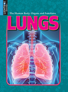 Cover Art for Lungs
