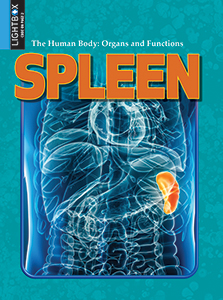Cover Art for Spleen