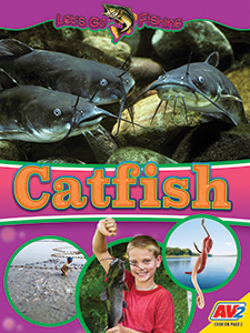 Cover Art for Catfish