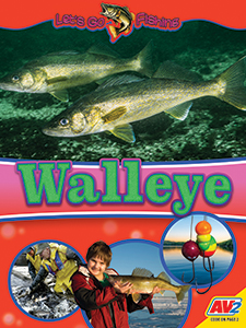 Cover Art for Walleye