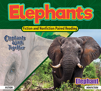 Cover Art for Elephants (Elephants Walk Together/Elephant)