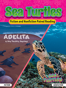 Cover Art for Sea Turtles (Adelita. A Sea Turtle's Journey/Sea Turtles)