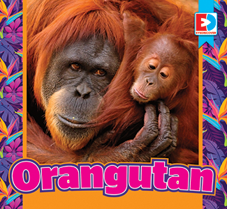 Cover Art for Orangutan